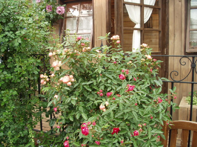 img0084.jpg