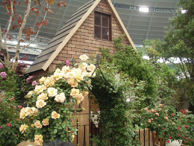 img0085.jpg