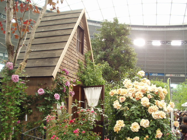 img0086.jpg