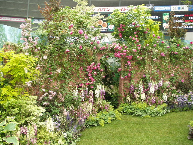 img0091.jpg