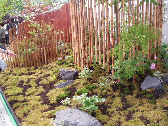 img0098.jpg