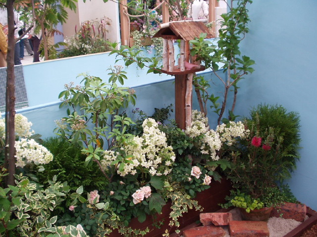 img0103.jpg