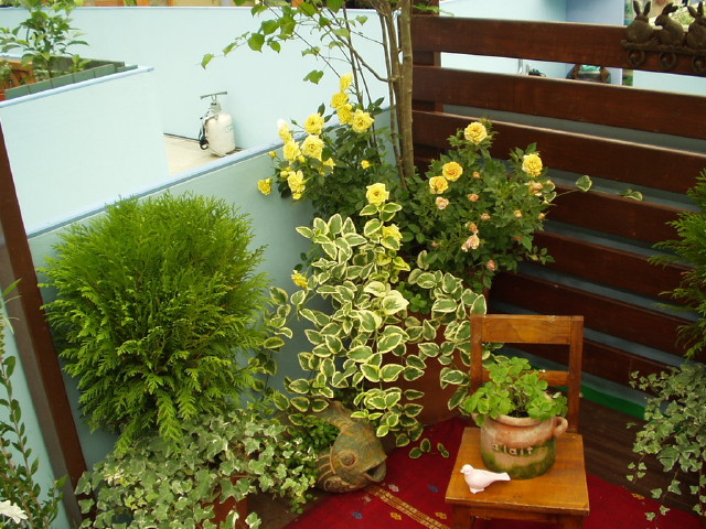 img0104.jpg