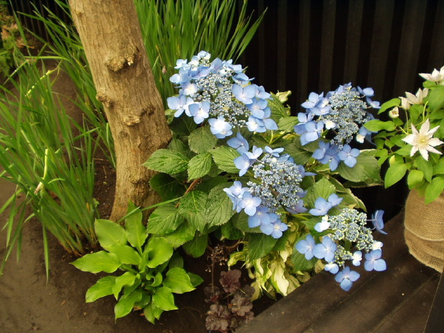 img0109.jpg