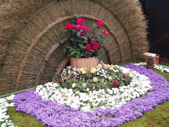 img0110.jpg