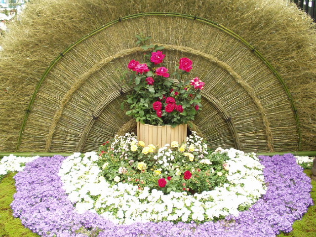 img0111.jpg