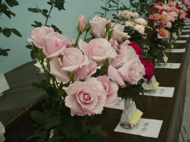 img0125.jpg