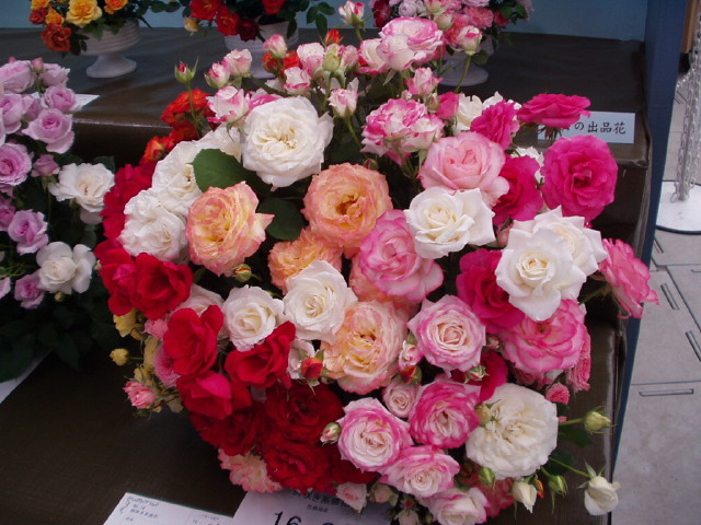 img0126.jpg