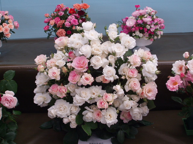 img0129.jpg