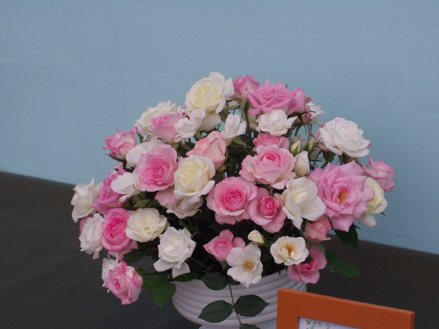 img0131.jpg