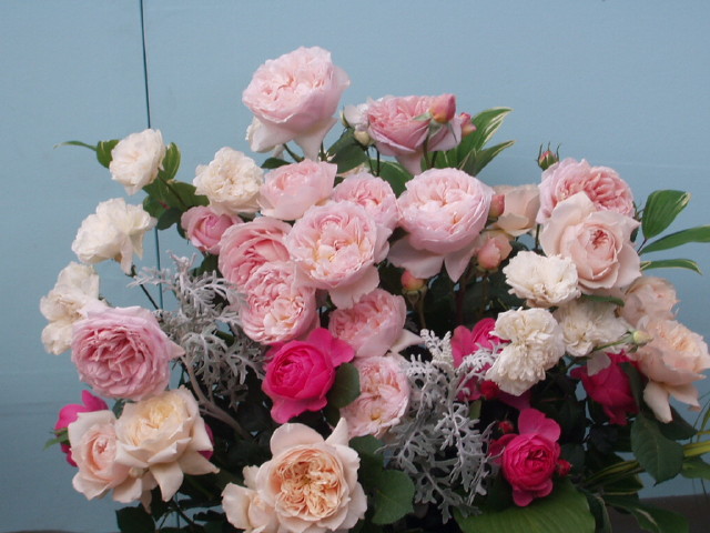 img0134.jpg