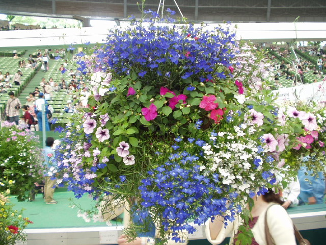 img0150.jpg
