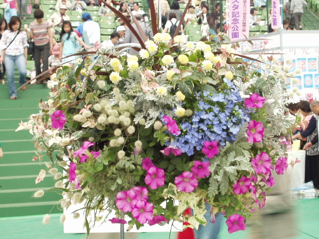 img0151.jpg
