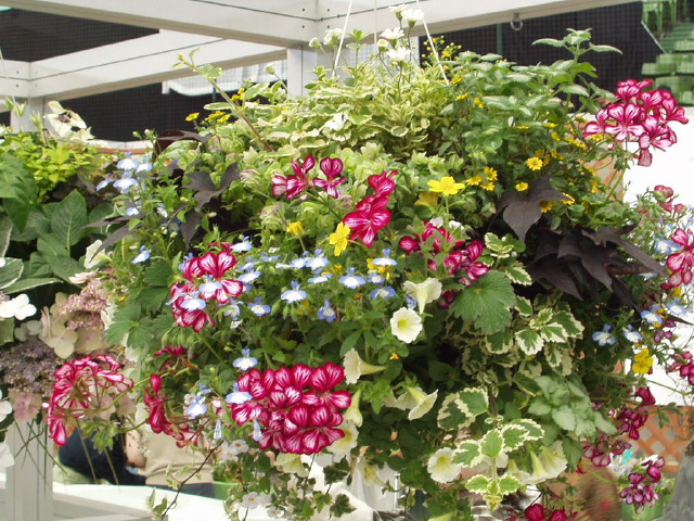 img0152.jpg