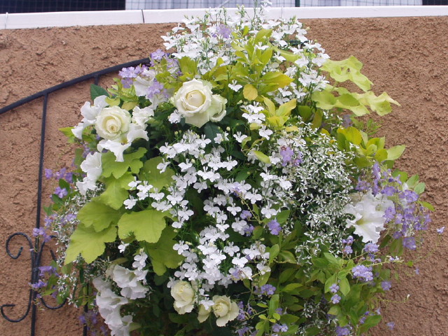 img0154.jpg