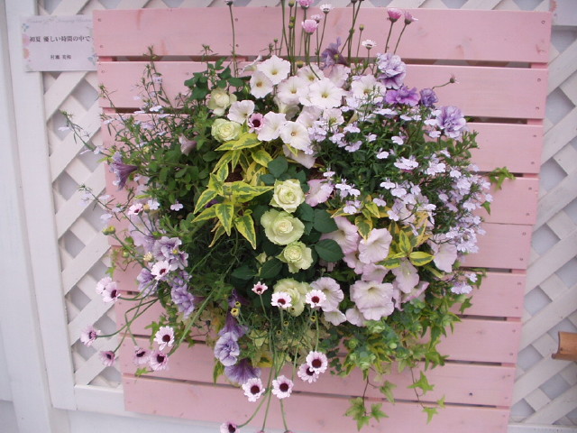 img0156.jpg