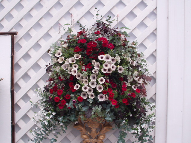 img0159.jpg