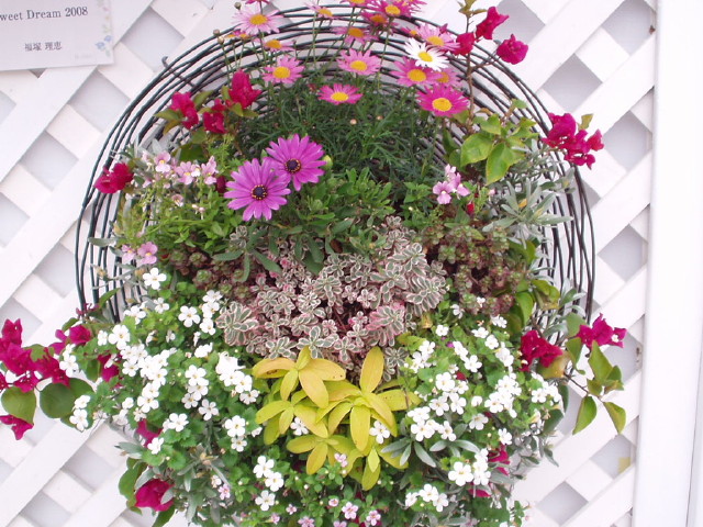 img0160.jpg