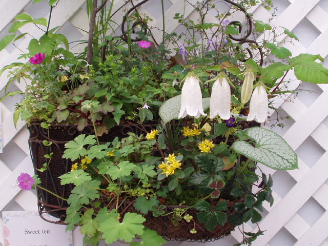 img0161.jpg