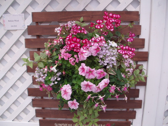 img0164.jpg