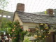 img0005.jpg