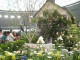 img0007.jpg