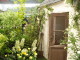 img0009.jpg