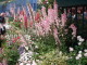 img0013.jpg
