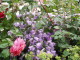 img0015.jpg