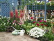 img0019.jpg