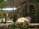 img0021.jpg