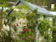 img0026.jpg