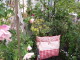 img0027.jpg