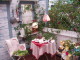 img0031.jpg