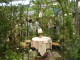 img0035.jpg