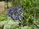 img0036.jpg