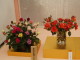 img0043.jpg