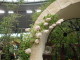 img0046.jpg