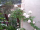 img0048.jpg