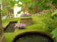img0049.jpg