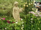 img0052.jpg