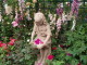 img0053.jpg
