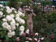 img0054.jpg