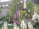 img0063.jpg