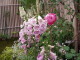 img0065.jpg