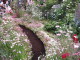 img0068.jpg