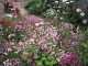 img0069.jpg