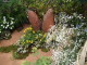 img0070.jpg
