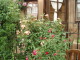 img0084.jpg