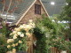 img0085.jpg